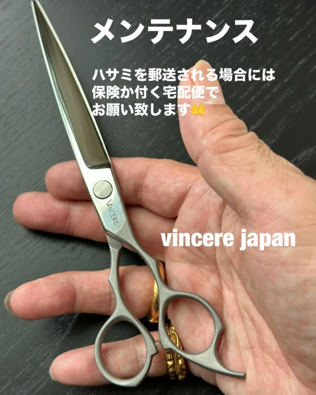 アンバサダー - ヴィンチェーレ・ジャパン