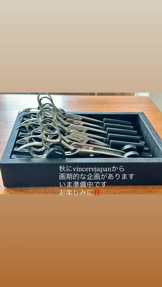 セニングハサミ - ヴィンチェーレ・ジャパン