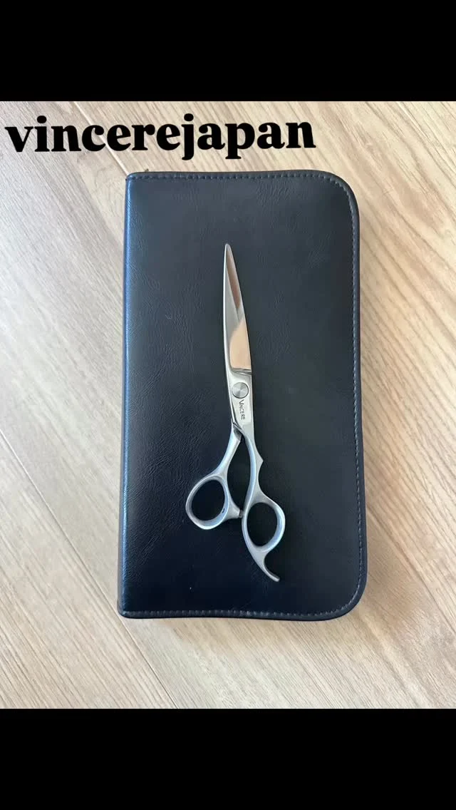 アンバサダー - ヴィンチェーレ・ジャパン